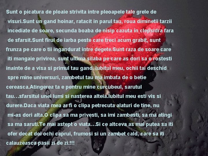 Sunt o picatura de ploaie strivita intre pleoapele tale grele de visuri. Sunt un Sunt o picatura de ploaie strivita intre pleoapele tale grele de visuri. Sunt un