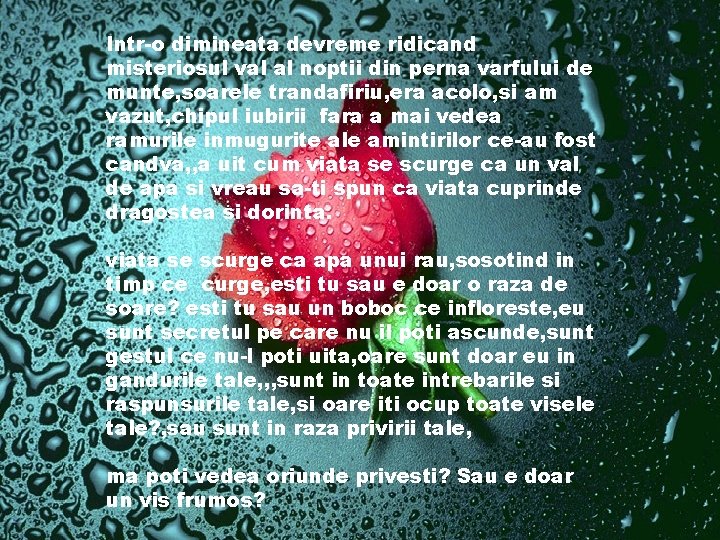 Intr-o dimineata devreme ridicand misteriosul val al noptii din perna varfului de munte, soarele Intr-o dimineata devreme ridicand misteriosul val al noptii din perna varfului de munte, soarele