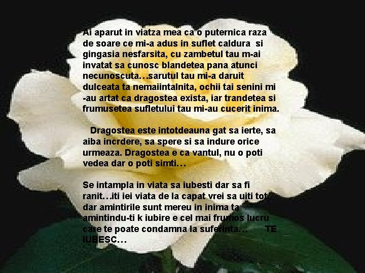 Ai aparut in viatza mea ca o puternica raza de soare ce mi-a adus Ai aparut in viatza mea ca o puternica raza de soare ce mi-a adus