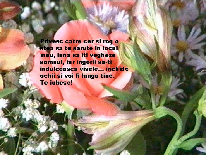 Privesc catre cer si rog o stea sa te sarute in locul meu, luna Privesc catre cer si rog o stea sa te sarute in locul meu, luna