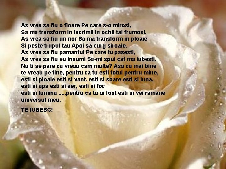 As vrea sa fiu o floare Pe care s-o mirosi, Sa ma transform in As vrea sa fiu o floare Pe care s-o mirosi, Sa ma transform in