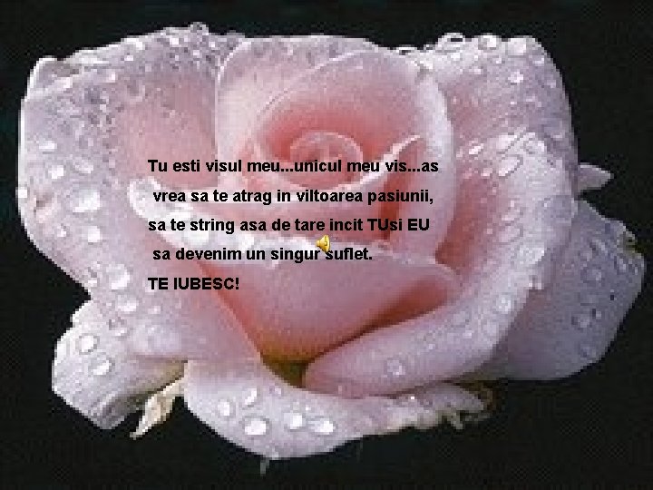 Tu esti visul meu. . . unicul meu vis. . . as vrea sa Tu esti visul meu. . . unicul meu vis. . . as vrea sa