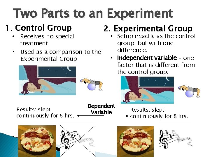 Two Parts to an Experiment 1. Control Group • Receives no special treatment •