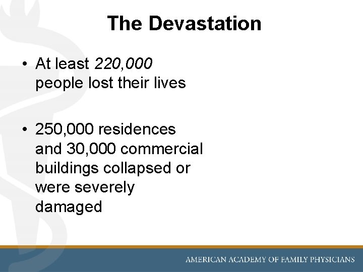 The Devastation • At least 220, 000 people lost their lives • 250, 000