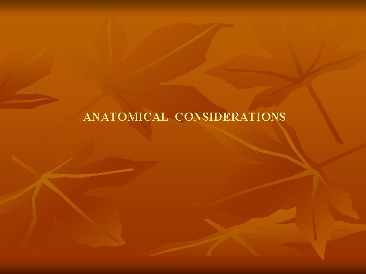 ANATOMICAL CONSIDERATIONS 