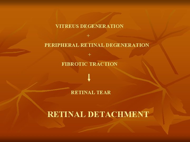 VITREUS DEGENERATION + PERIPHERAL RETINAL DEGENERATION + FIBROTIC TRACTION RETINAL TEAR RETINAL DETACHMENT 