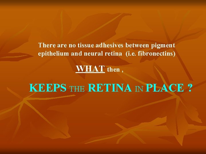 There are no tissue adhesives between pigment epithelium and neural retina (i. e. fibronectins)