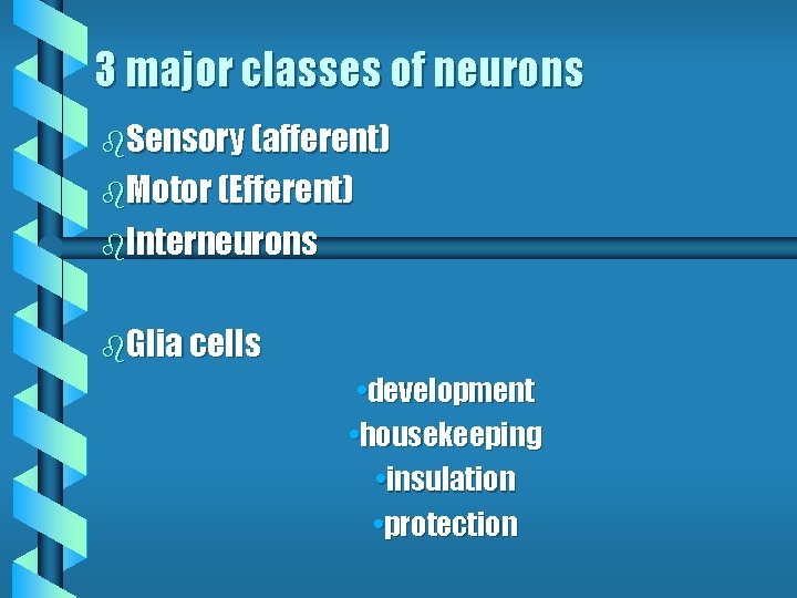 3 major classes of neurons b. Sensory (afferent) b. Motor (Efferent) b. Interneurons b. 3 major classes of neurons b. Sensory (afferent) b. Motor (Efferent) b. Interneurons b.