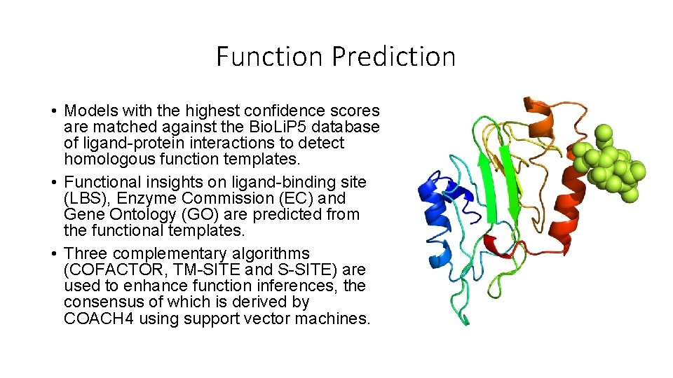 Function Prediction • Models with the highest confidence scores are matched against the Bio.