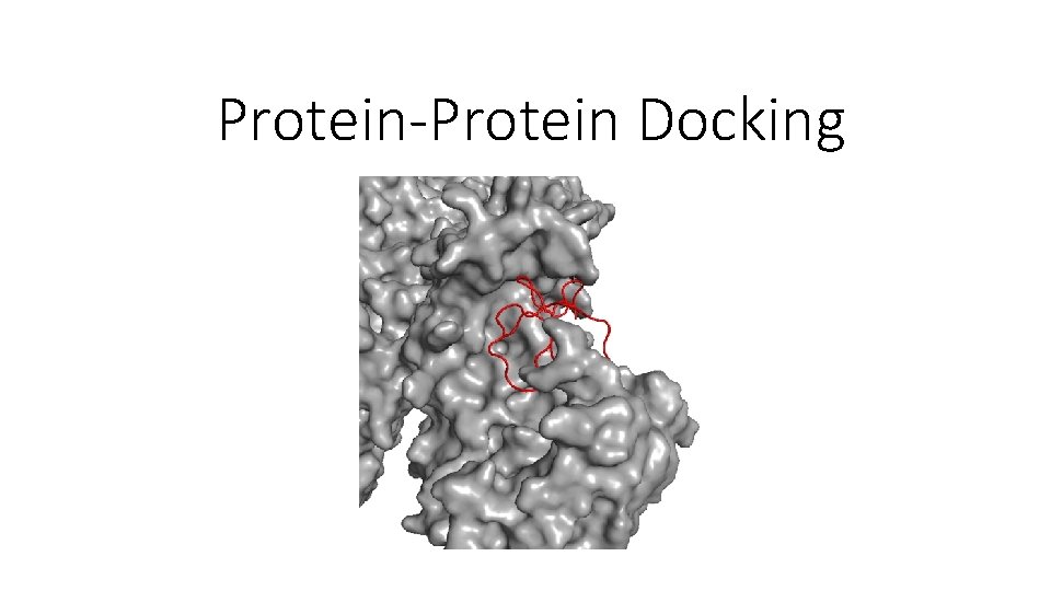 Protein-Protein Docking 