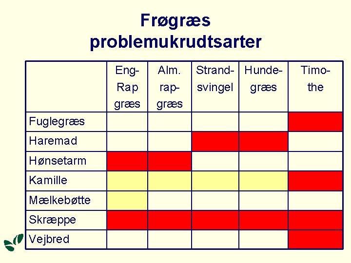 Frøgræs problemukrudtsarter Eng. Rap græs Fuglegræs Haremad Hønsetarm Kamille Mælkebøtte Skræppe Vejbred Alm. rapgræs