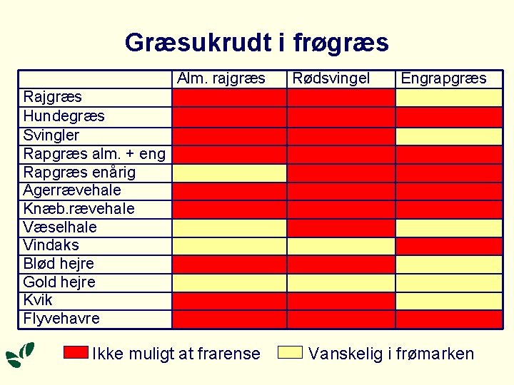 Græsukrudt i frøgræs Alm. rajgræs Rødsvingel Engrapgræs Rajgræs Hundegræs Svingler Rapgræs alm. + eng