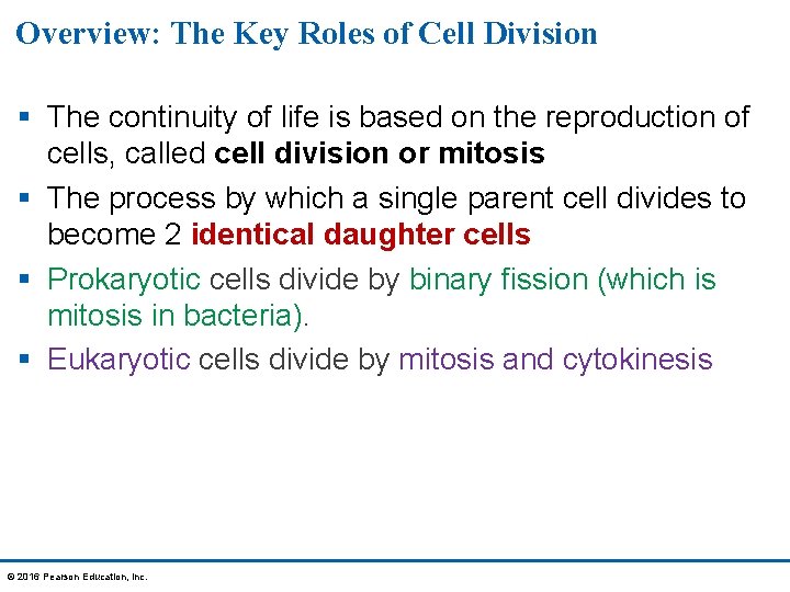 Overview: The Key Roles of Cell Division § The continuity of life is based