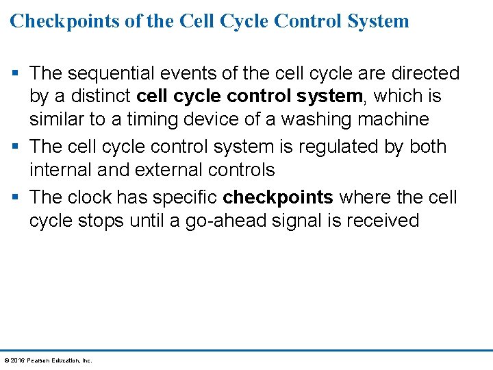 Checkpoints of the Cell Cycle Control System § The sequential events of the cell