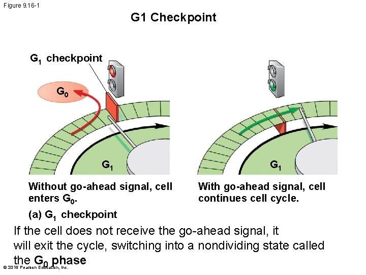 Figure 9. 16 -1 G 1 Checkpoint G 1 checkpoint G 0 G 1