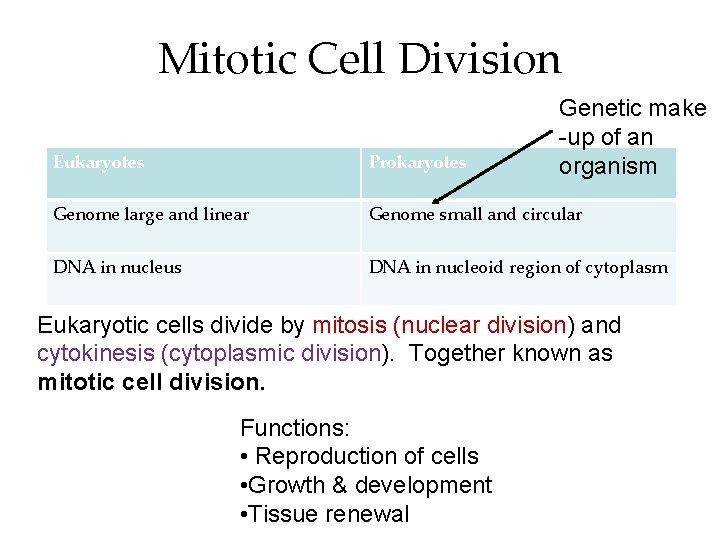 Mitotic Cell Division Genetic make -up of an organism Eukaryotes Prokaryotes Genome large and