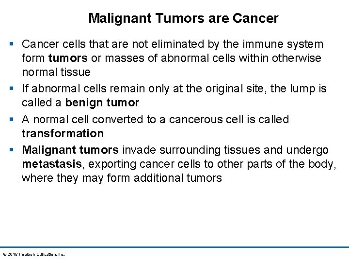 Malignant Tumors are Cancer § Cancer cells that are not eliminated by the immune