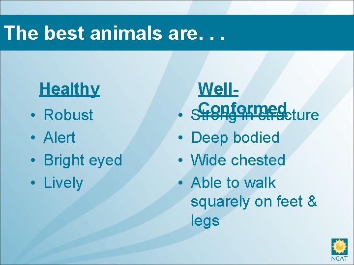 The best animals are. . . Healthy • • Robust Alert Bright eyed Lively