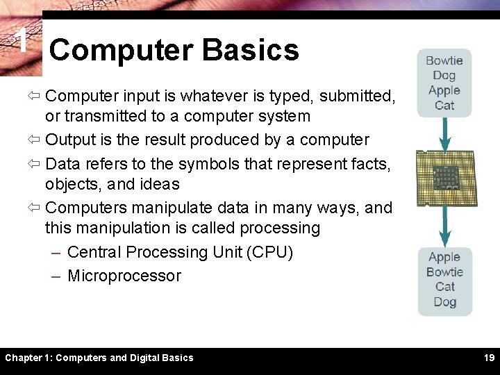 1 Computer Basics ï Computer input is whatever is typed, submitted, or transmitted to