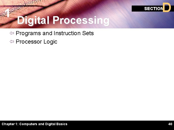 1 D SECTION Digital Processing ï Programs and Instruction Sets ï Processor Logic Chapter