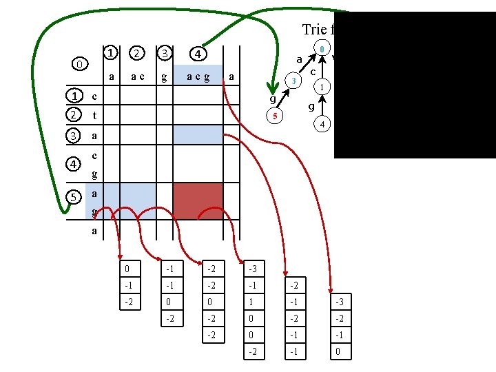 Trie for S 1 0 2 a ac 3 g 4 0 a acg