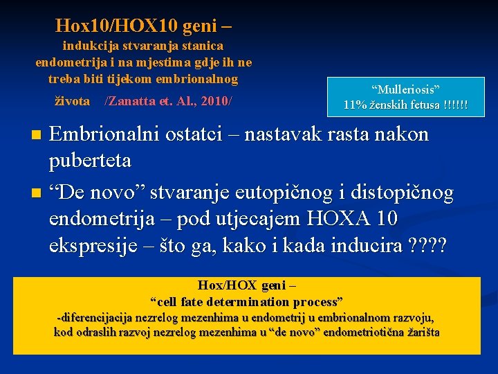 Hox 10/HOX 10 geni – indukcija stvaranja stanica endometrija i na mjestima gdje ih