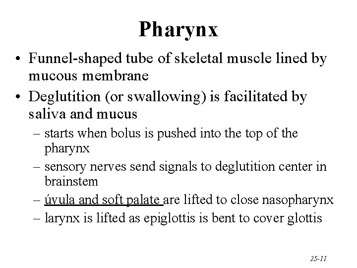 Pharynx • Funnel-shaped tube of skeletal muscle lined by mucous membrane • Deglutition (or