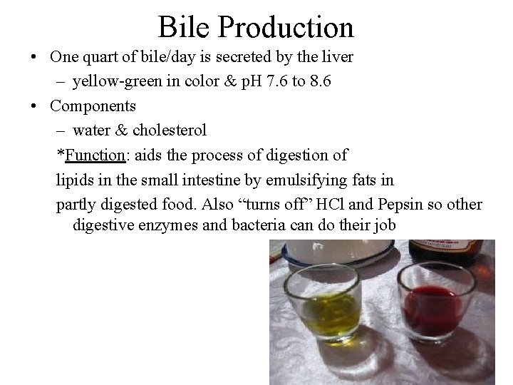 Bile Production • One quart of bile/day is secreted by the liver – yellow-green
