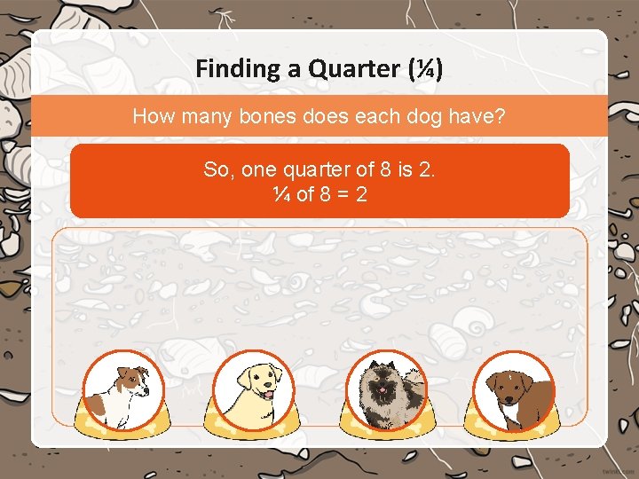 Finding a Quarter (¼) How many bones does each dog have? So, one quarter