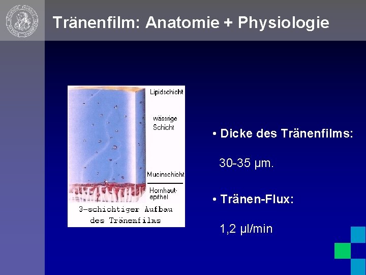 Tränenfilm: Anatomie + Physiologie • Dicke des Tränenfilms: 30 -35 μm. • Tränen-Flux: 1,