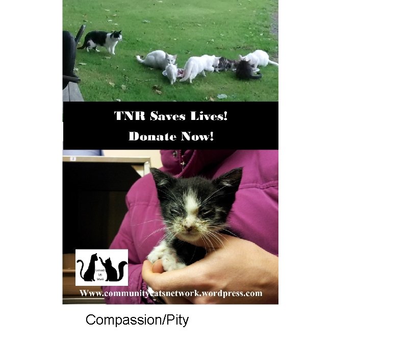 Compassion/Pity 