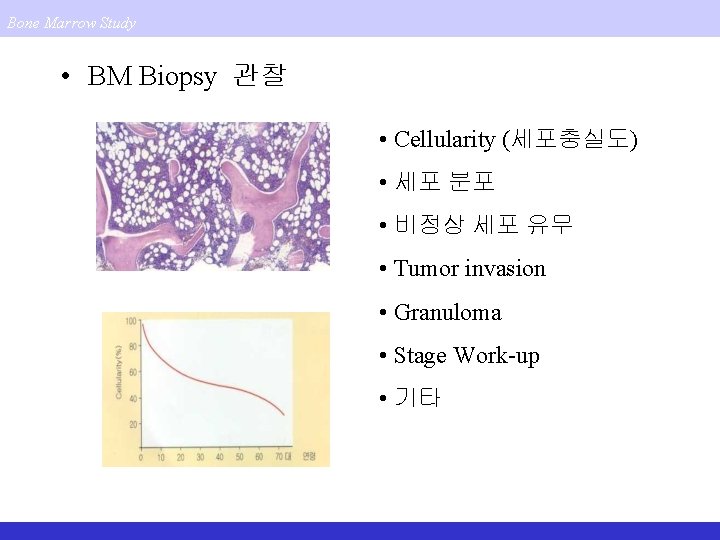 Bone Marrow Study • BM Biopsy 관찰 • Cellularity (세포충실도) • 세포 분포 •