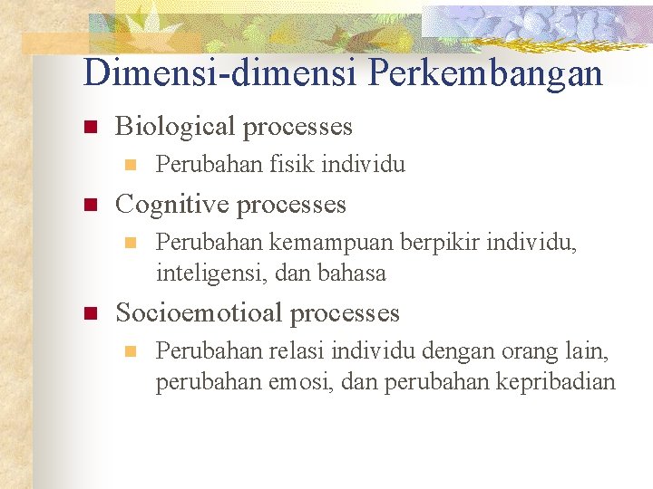 Dimensi-dimensi Perkembangan n Biological processes n n Cognitive processes n n Perubahan fisik individu