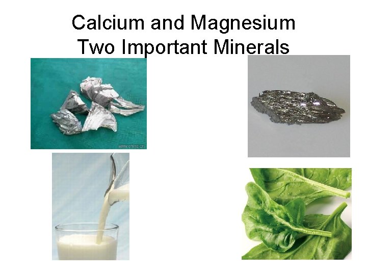 Calcium and Magnesium Two Important Minerals 