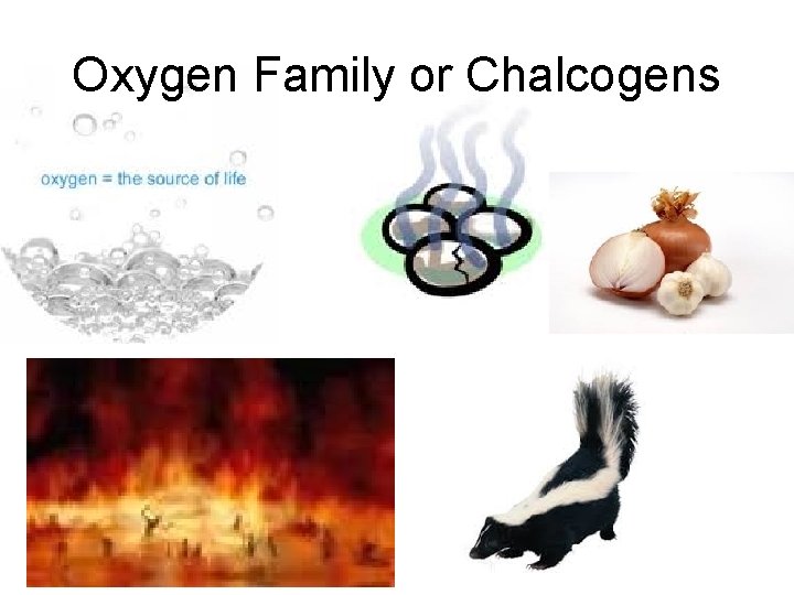 Oxygen Family or Chalcogens 