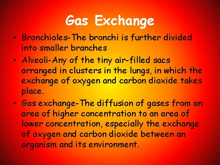 Gas Exchange • Bronchioles-The bronchi is further divided into smaller branches • Alveoli-Any of