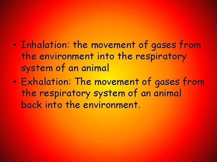  • Inhalation: the movement of gases from the environment into the respiratory system