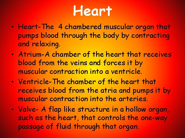 Heart • Heart-The 4 chambered muscular organ that pumps blood through the body by