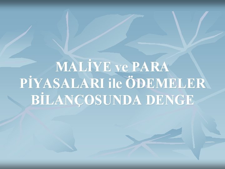 MALİYE ve PARA PİYASALARI ile ÖDEMELER BİLANÇOSUNDA DENGE 