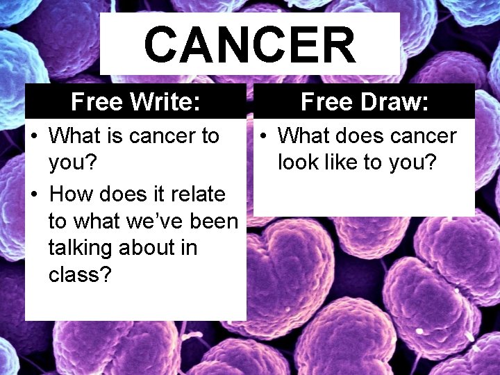CANCER Free Write: Free Draw: • What is cancer to • What does cancer