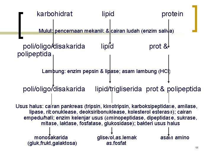 karbohidrat lipid protein Mulut: pencernaan mekanik & cairan ludah (enzim saliva) poli/oligo/disakarida polipeptida lipid