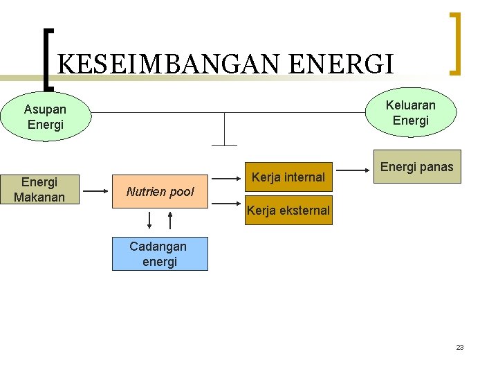 KESEIMBANGAN ENERGI Keluaran Energi Asupan Energi Makanan Kerja internal Energi panas Nutrien pool Kerja