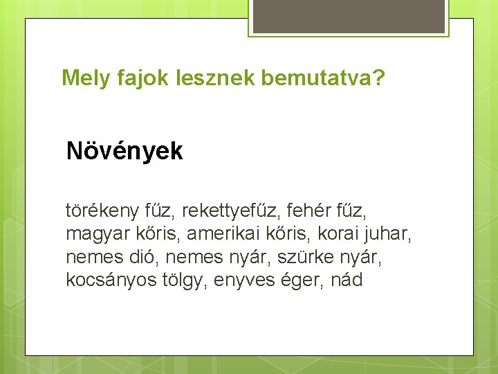 Mely fajok lesznek bemutatva? Növények törékeny fűz, rekettyefűz, fehér fűz, magyar kőris, amerikai kőris,