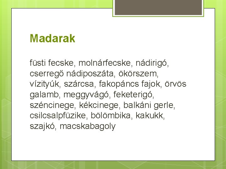 Madarak füsti fecske, molnárfecske, nádirigó, cserregő nádiposzáta, ökörszem, vízityúk, szárcsa, fakopáncs fajok, örvös galamb,