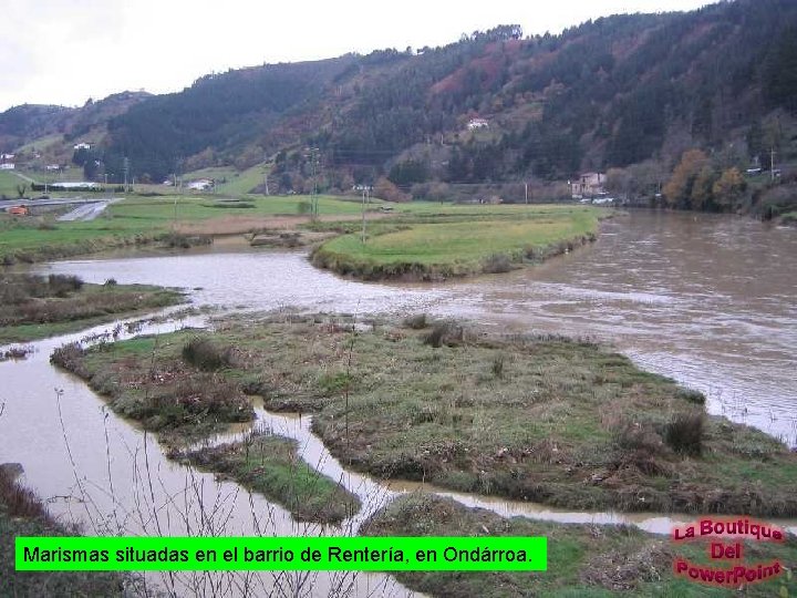 Marismas situadas en el barrio de Rentería, en Ondárroa. 