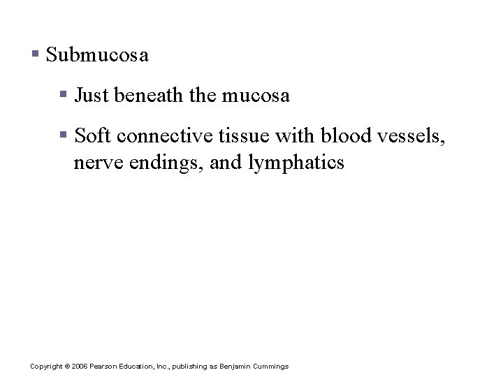 Layers of Alimentary Canal Organs § Submucosa § Just beneath the mucosa § Soft
