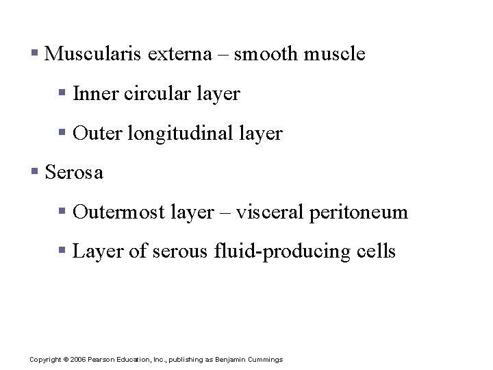 Layers of Alimentary Canal Organs § Muscularis externa – smooth muscle § Inner circular
