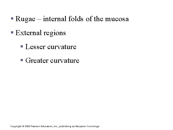 Stomach Anatomy § Rugae – internal folds of the mucosa § External regions §