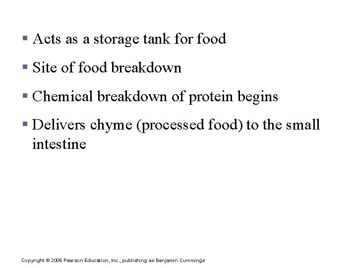 Stomach Functions § Acts as a storage tank for food § Site of food