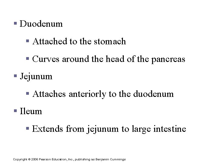 Subdivisions of the Small Intestine § Duodenum § Attached to the stomach § Curves